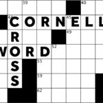 driving test error crossword clue